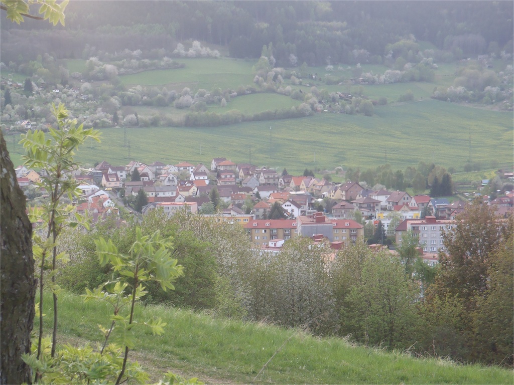 P4290288.JPG