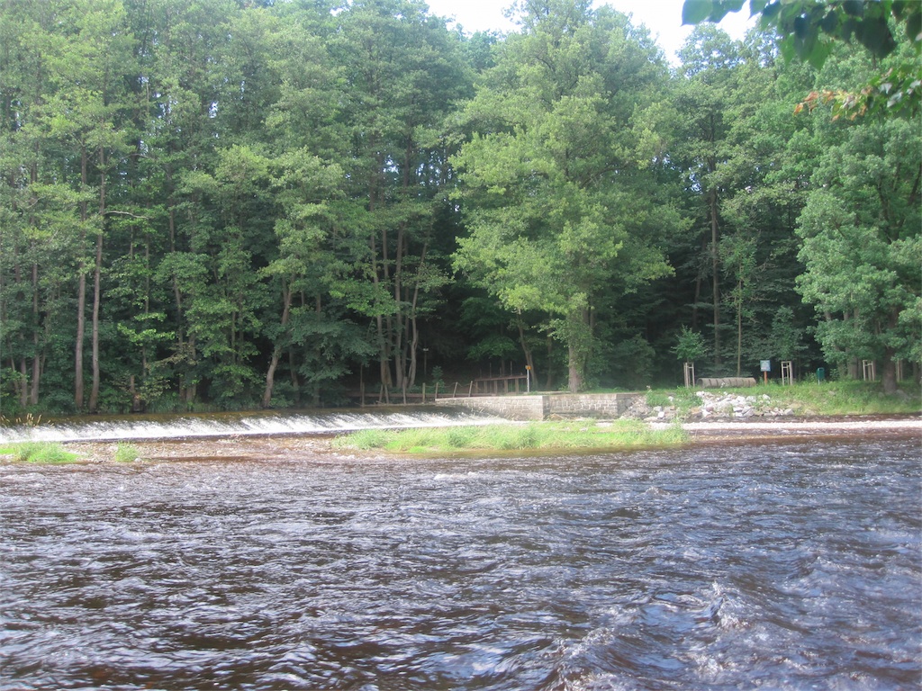 IMG_4436.JPG