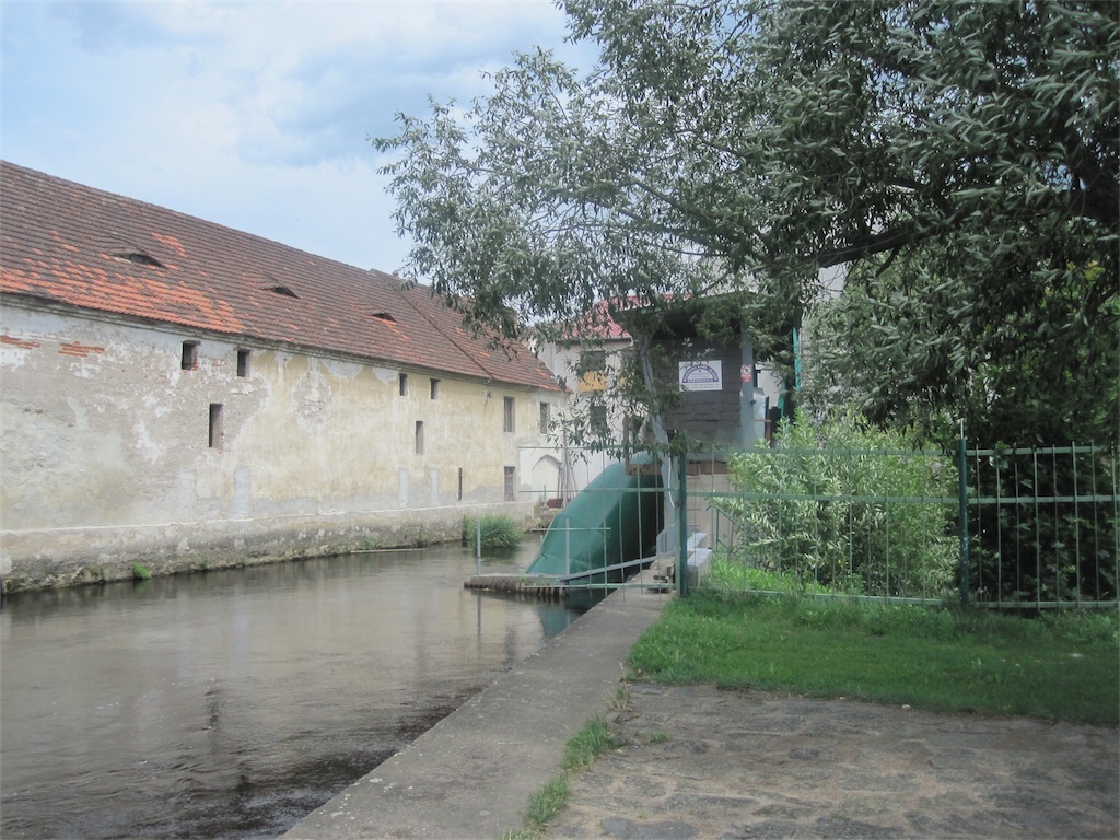 IMG_4552.JPG