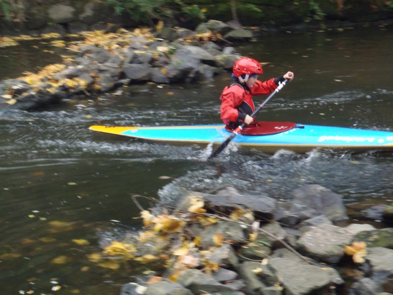 PA230720.jpg