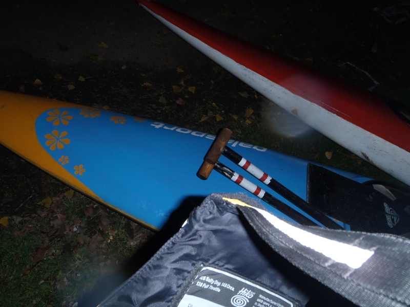 PA230823.jpg