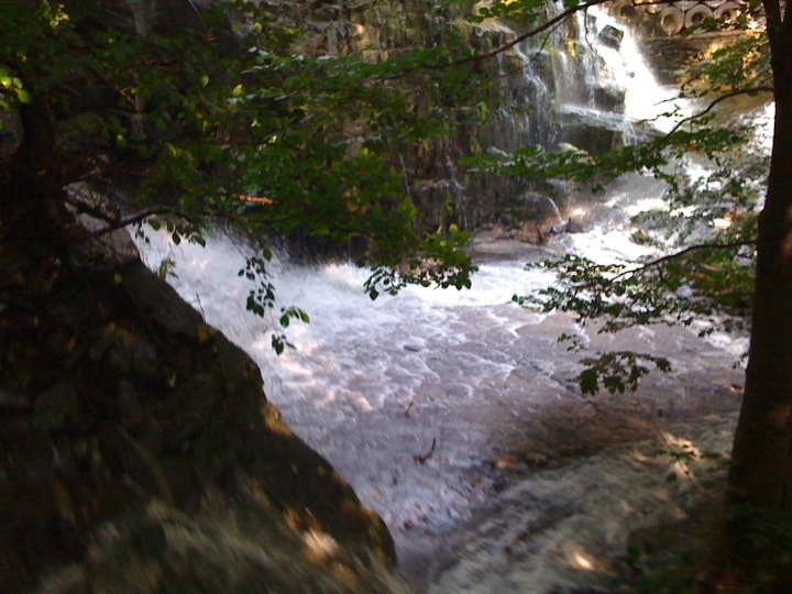 Foto_1237.jpg