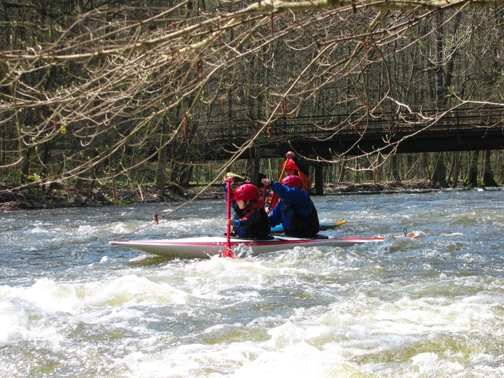 IMG_6492.jpg