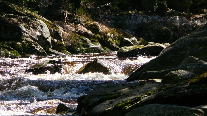 OtavaVydra_52.jpg