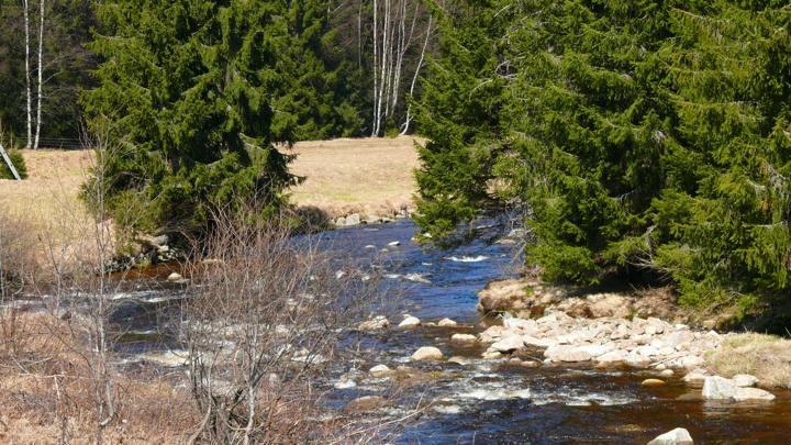 OtavaVydra_58.jpg