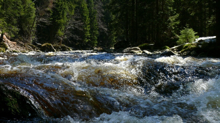 OtavaVydra_73.jpg