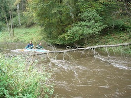 PA034256.JPG