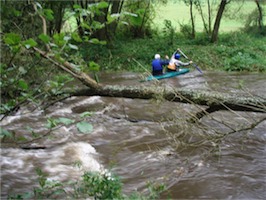PA034263.JPG
