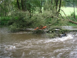 PA034265.JPG