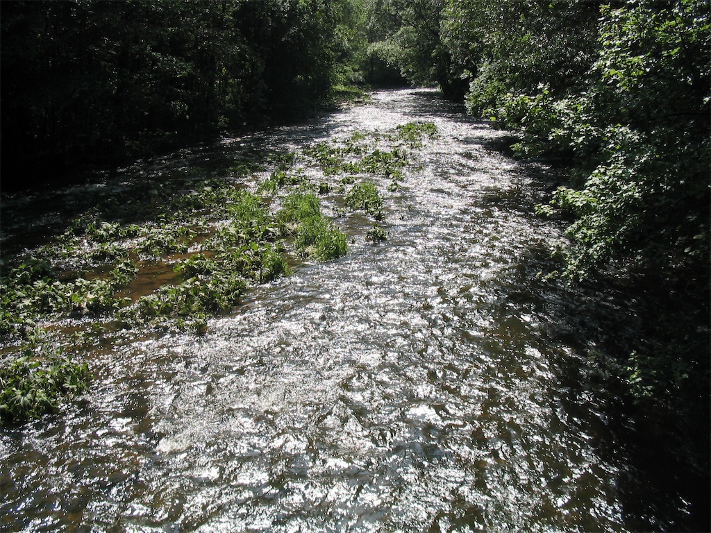 IMG_3820.JPG