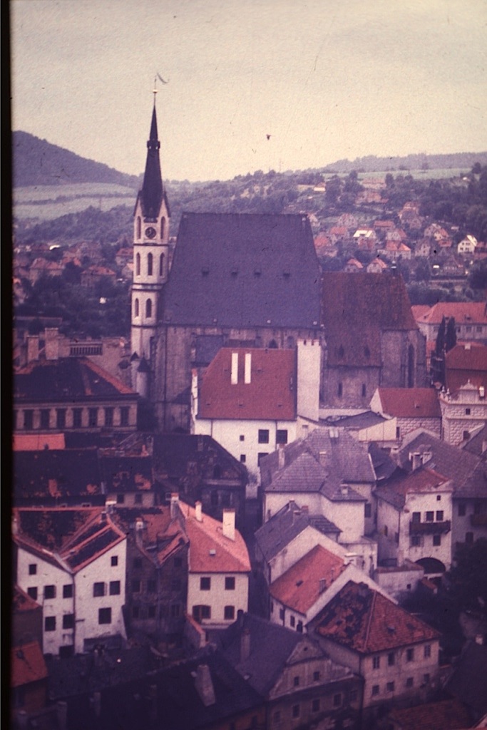 IMG_7861.jpg