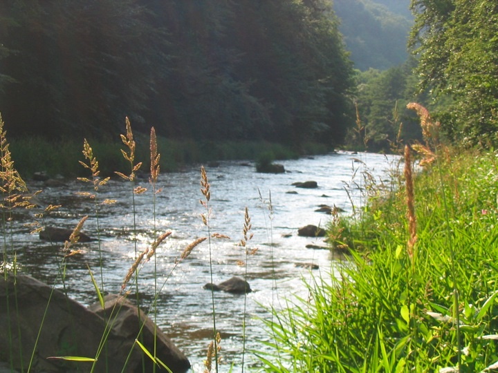 Foto_1955.jpg