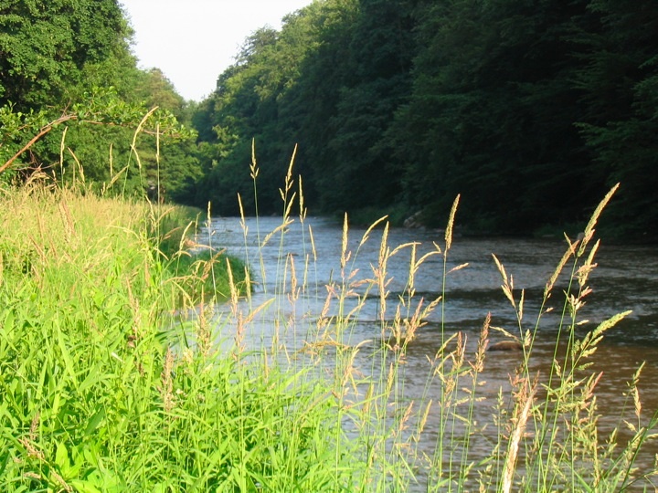 Foto_1956.jpg