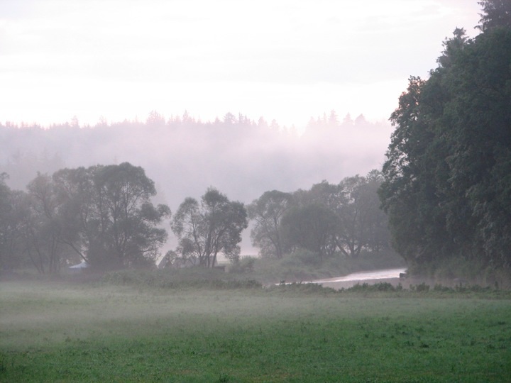 Foto_3268.jpg