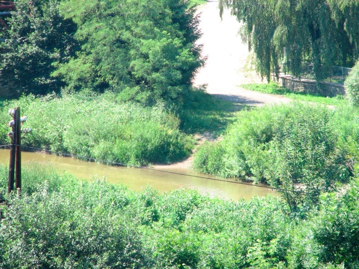 Foto_3401.jpg