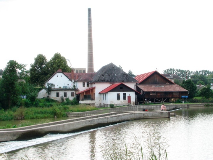 Foto_3487.jpg