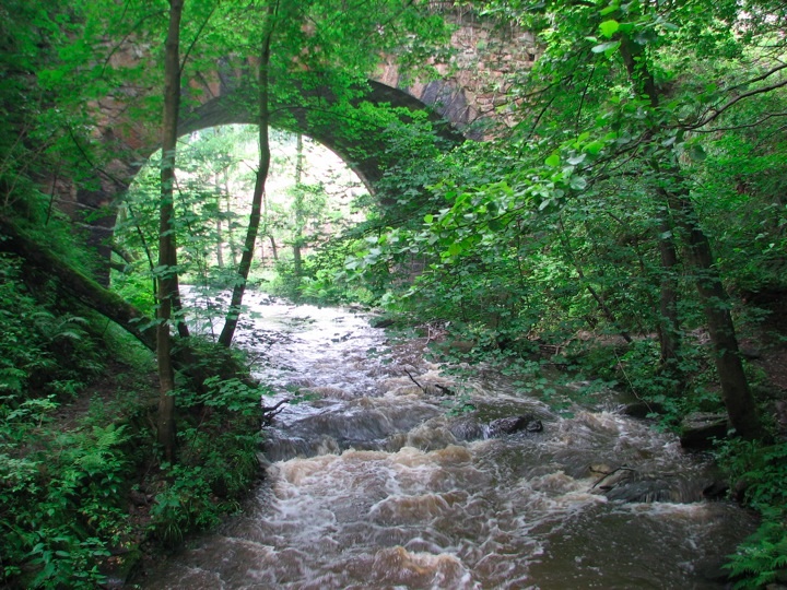 Foto_3795.jpg
