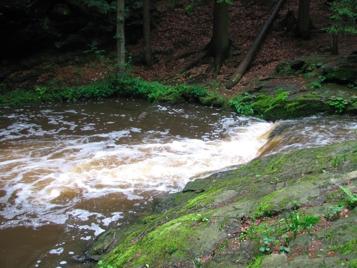 Foto_3822.jpg