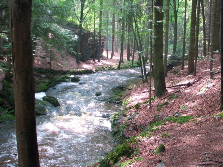 Foto_3844.jpg