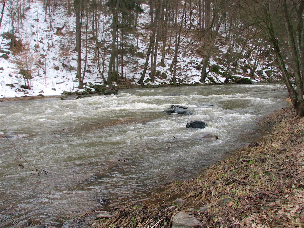 IMG_2539.JPG