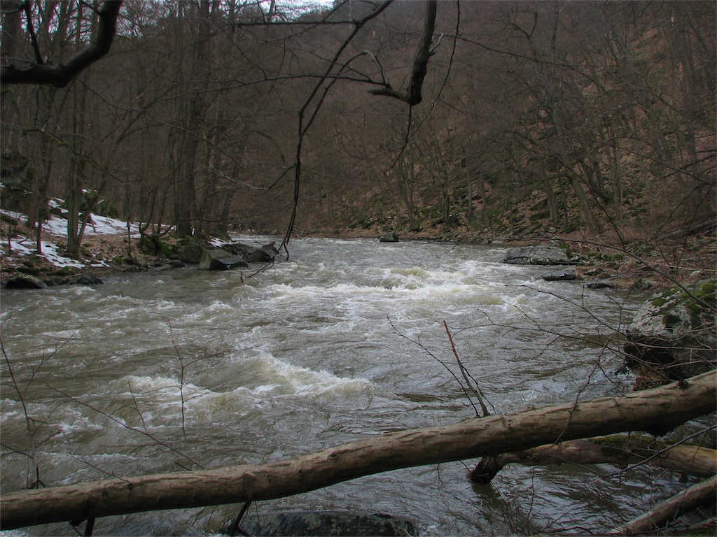 IMG_2579.JPG