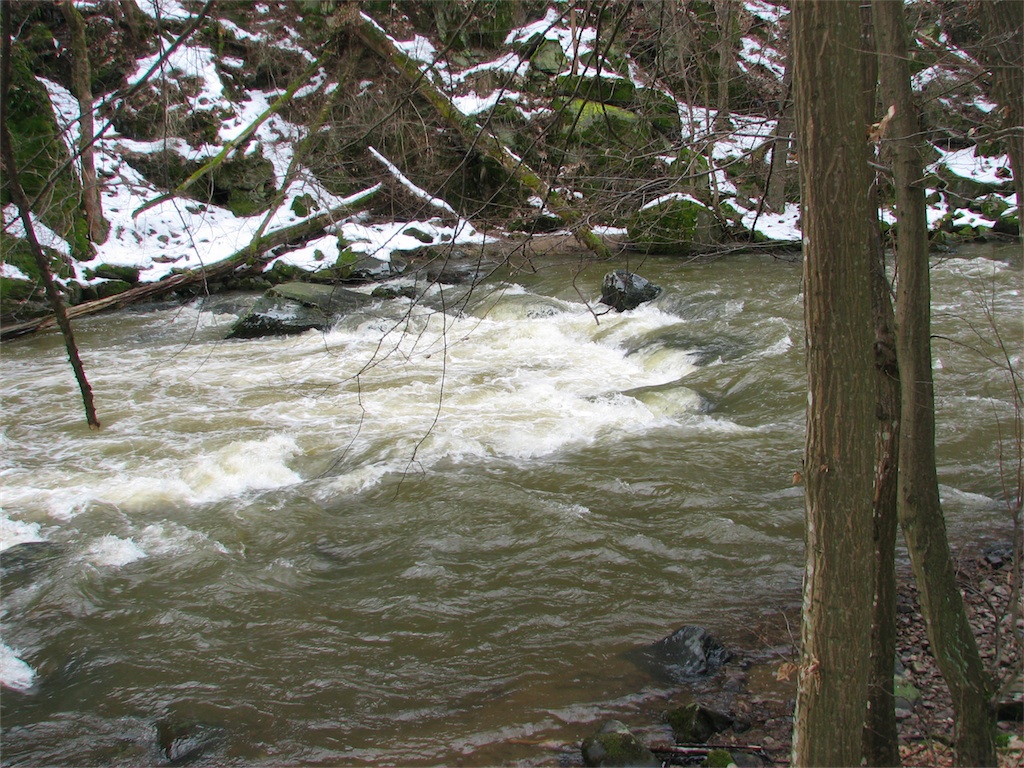 IMG_2606.JPG