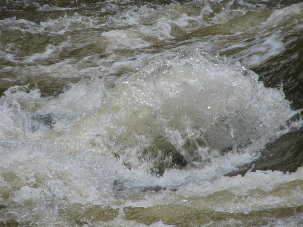 IMG_2612.JPG