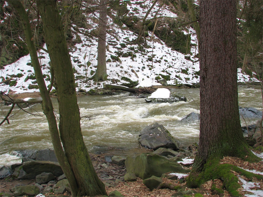IMG_2615.JPG