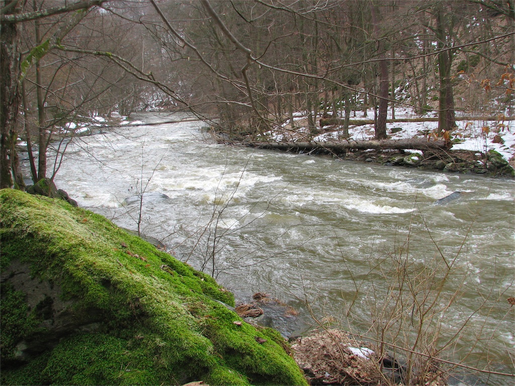 IMG_2620.JPG