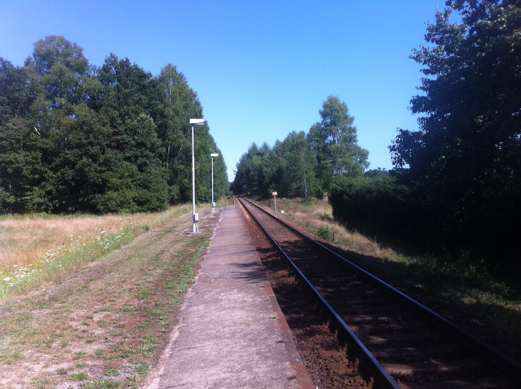 IMG_1536.jpeg