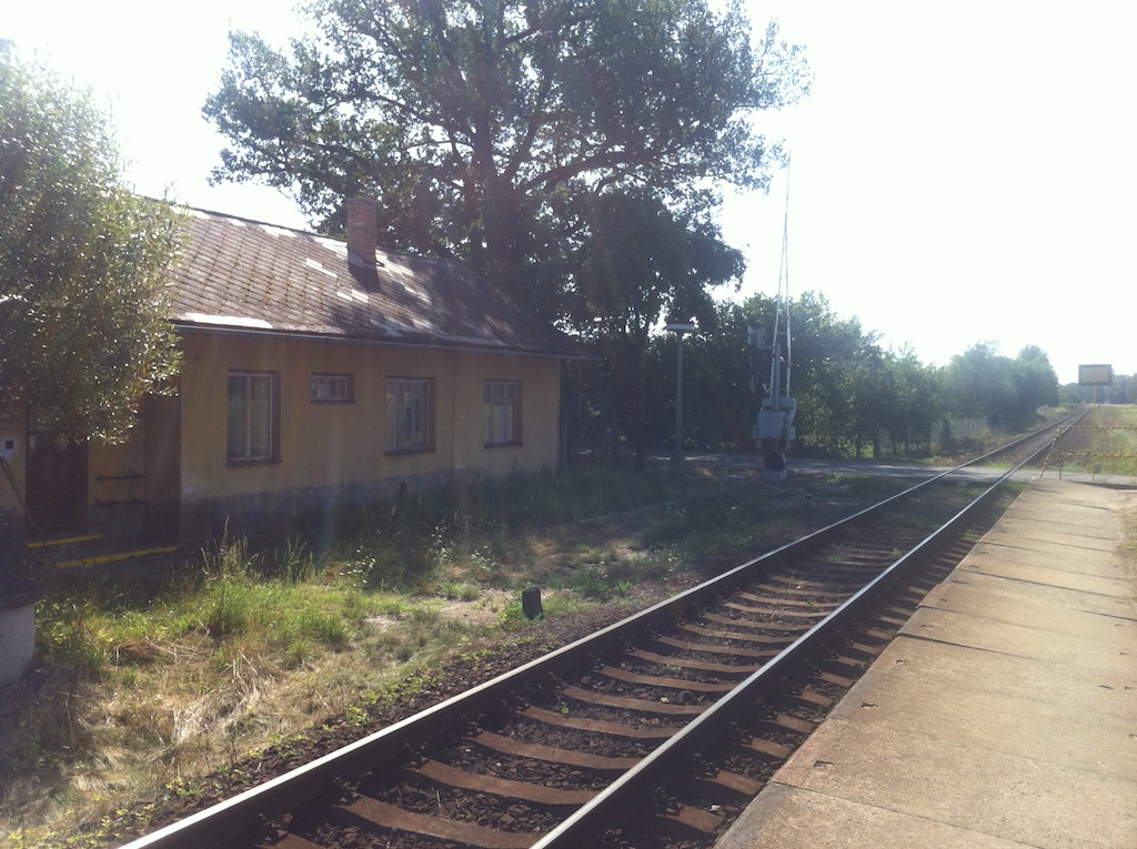 IMG_1539.jpeg