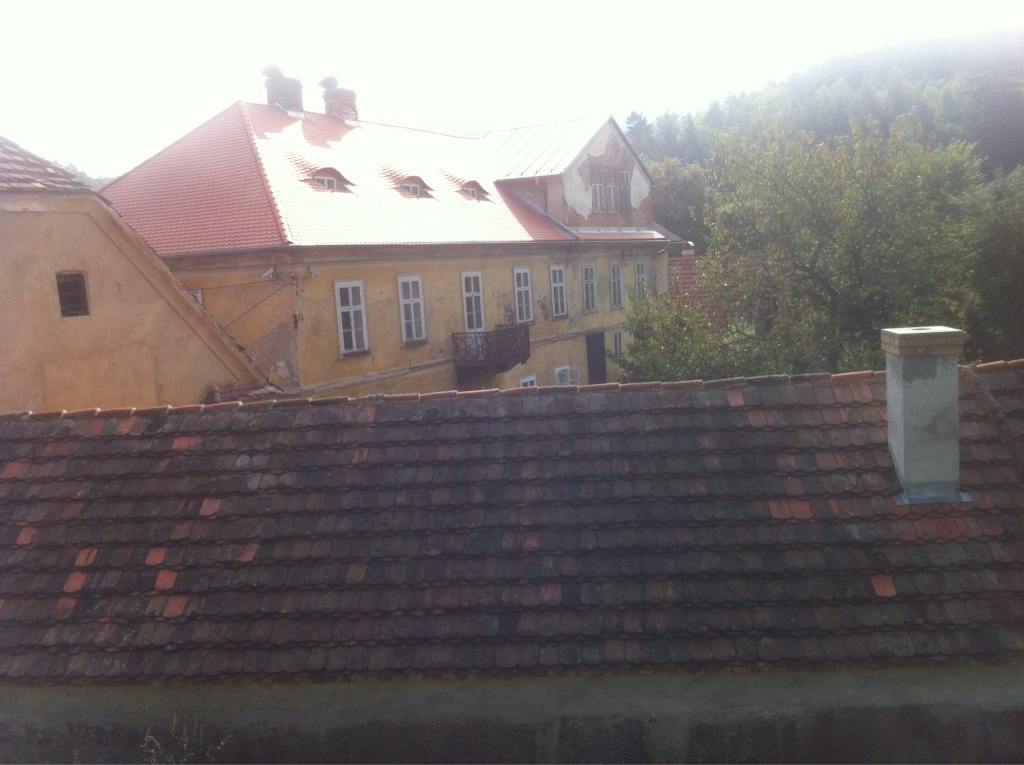 IMG_1699%201.jpg