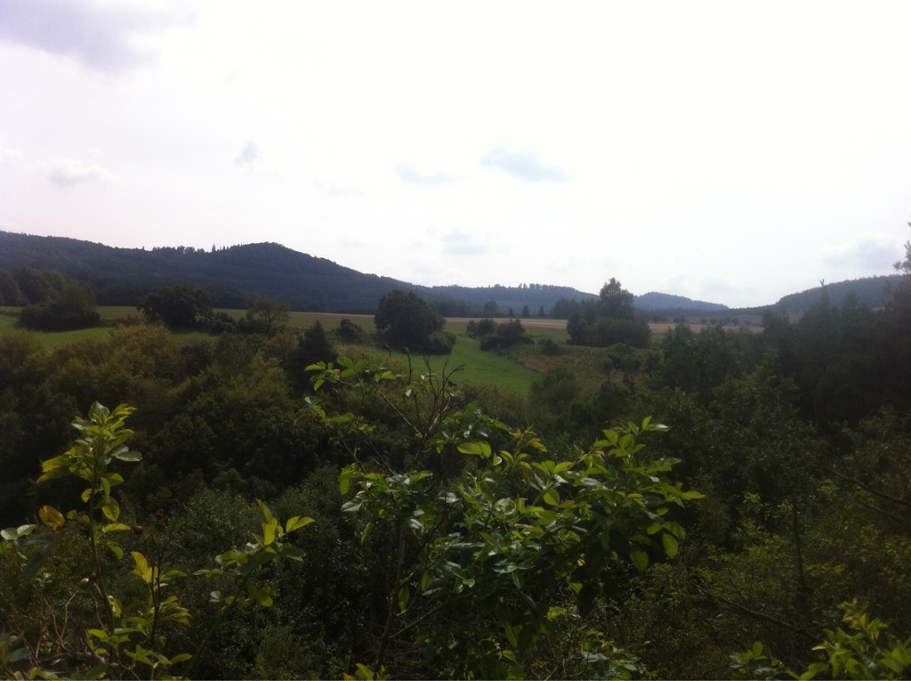 IMG_1707%201.jpg