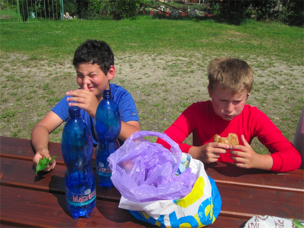 IMG_6553.JPG