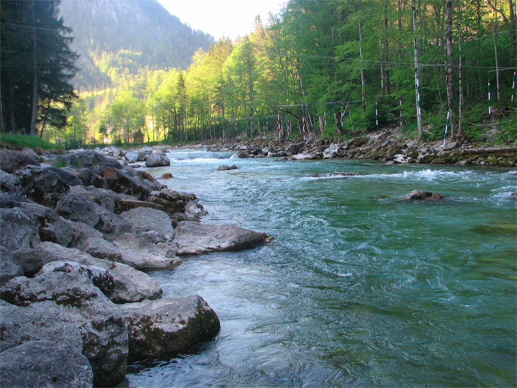IMG_9548.JPG