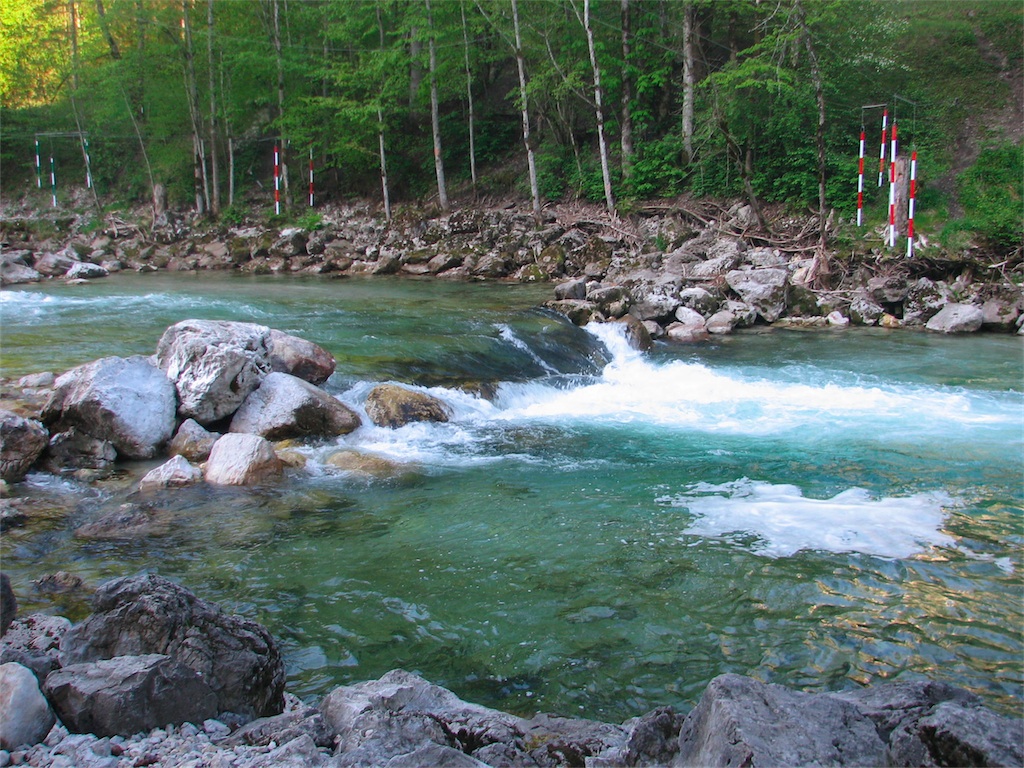 IMG_9549.JPG