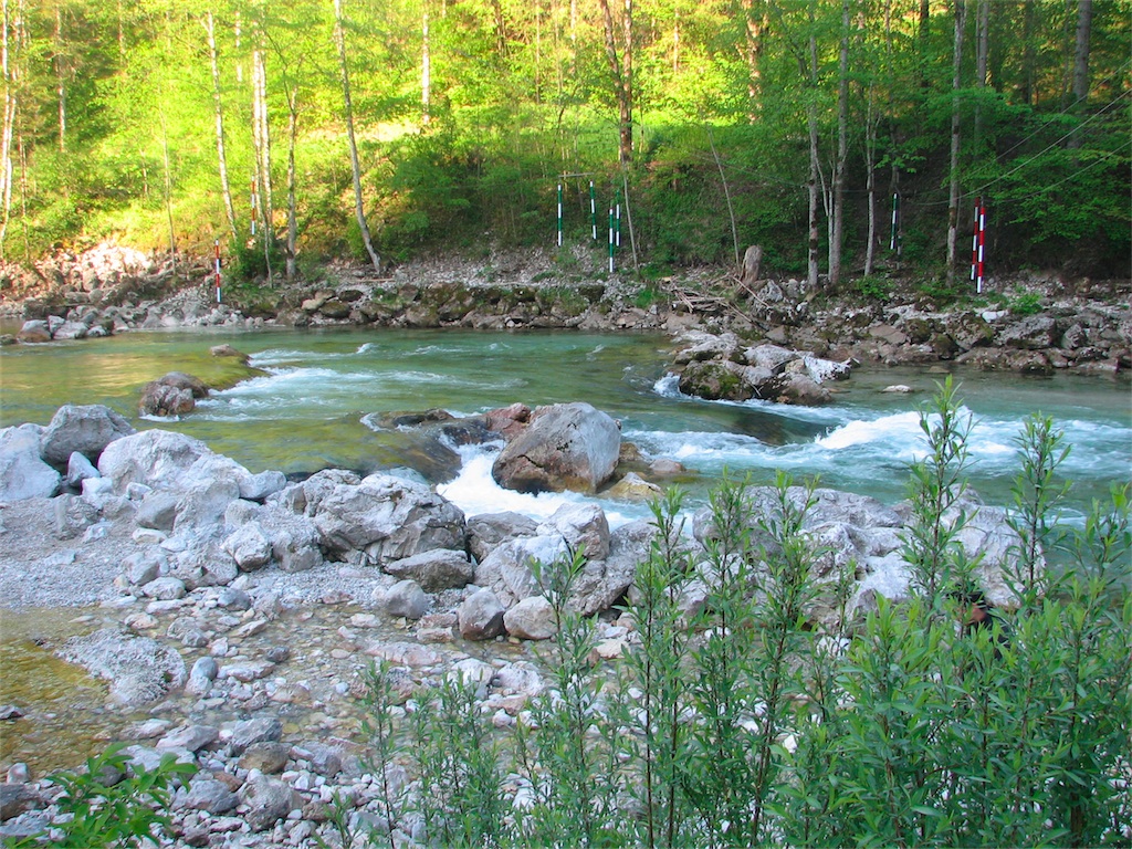 IMG_9552.JPG