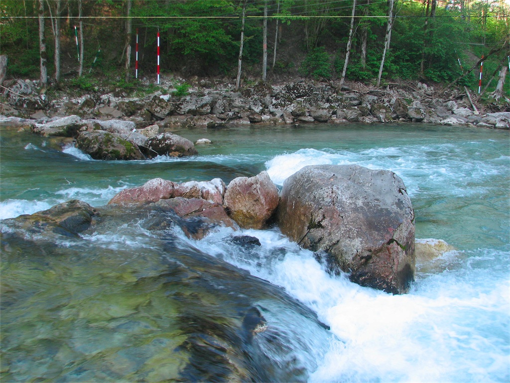 IMG_9558.JPG