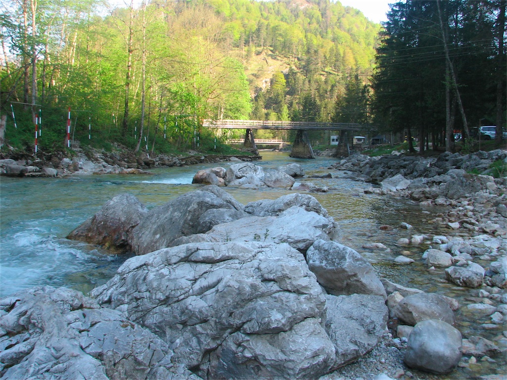 IMG_9559.JPG