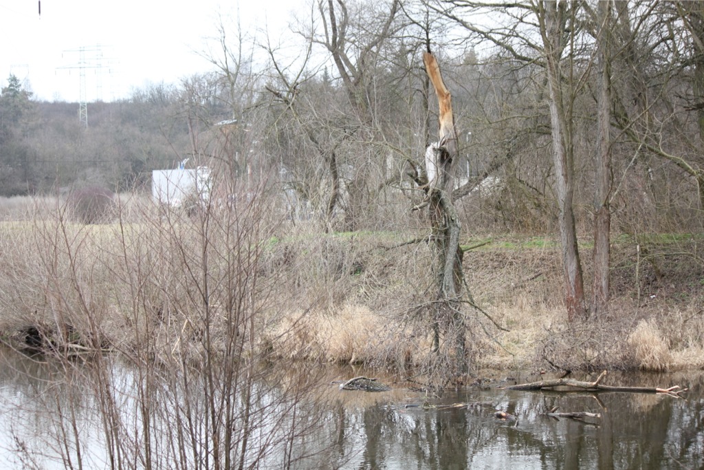 Bityska2014_02_05.jpg